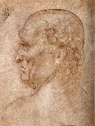 LEONARDO da Vinci, Master of the Pala Sforzesca, profile of an old man